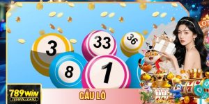 Cầu Lô Là Gì - Bật Mí Phương Pháp Dự Đoán Cực Chuẩn 2026